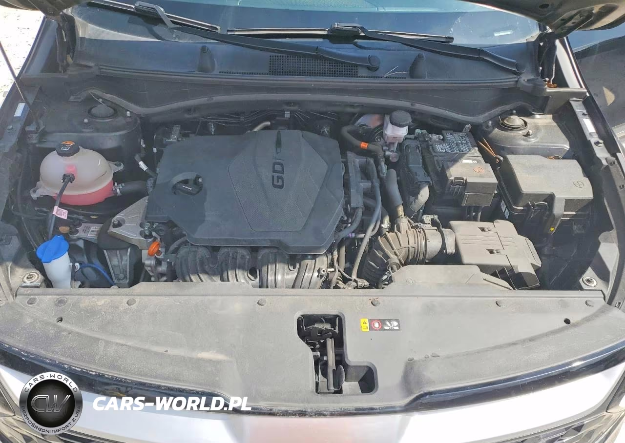 2023 Kia Sportage Ex VIN:5XYK33AF3PG111635 - 12