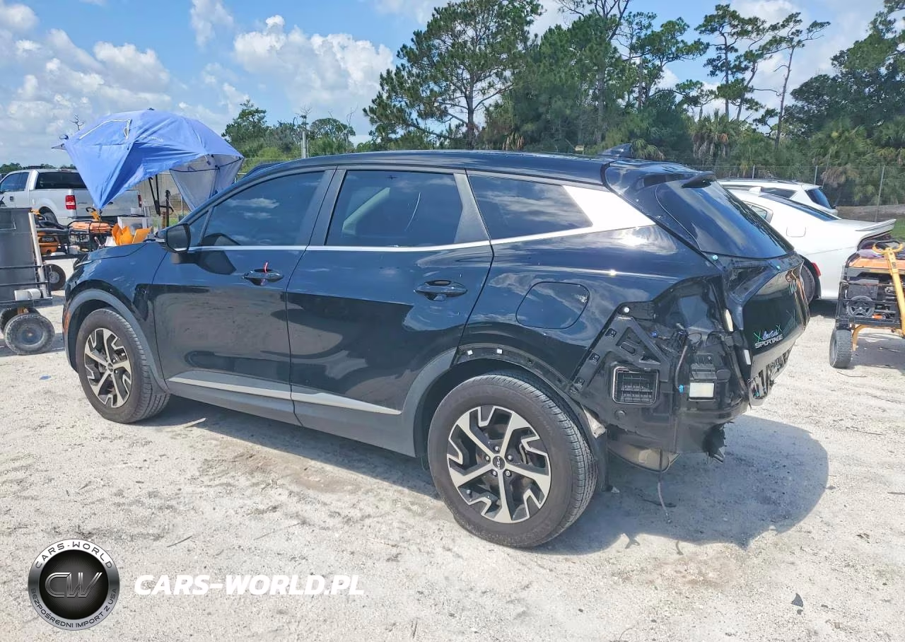 2023 Kia Sportage Ex VIN:5XYK33AF3PG111635 - 2