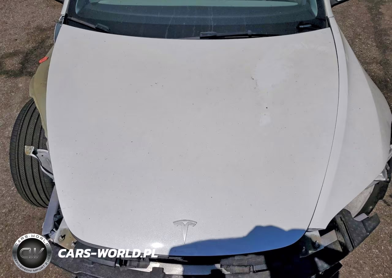2025 Tesla Model 3 VIN:5YJ3E1EA2SF918214 - 11