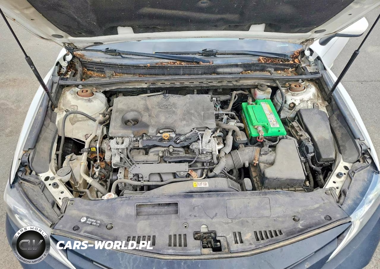 2019 Toyota Camry Le VIN:4T1B11HK3KU269778 - 11