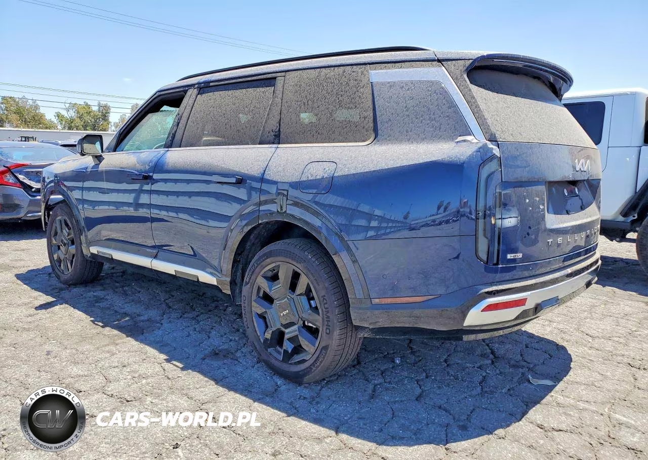 2027 Kia Telluride Sx VIN:5XYPD5SA8VG002408 - 2