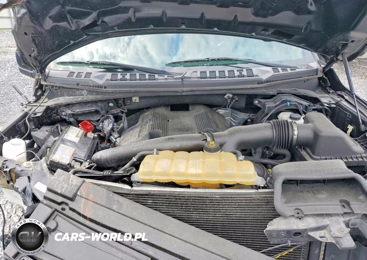 2019 Ford F150 Police Responder VIN:1FTEW1P46KKC78556 - 11