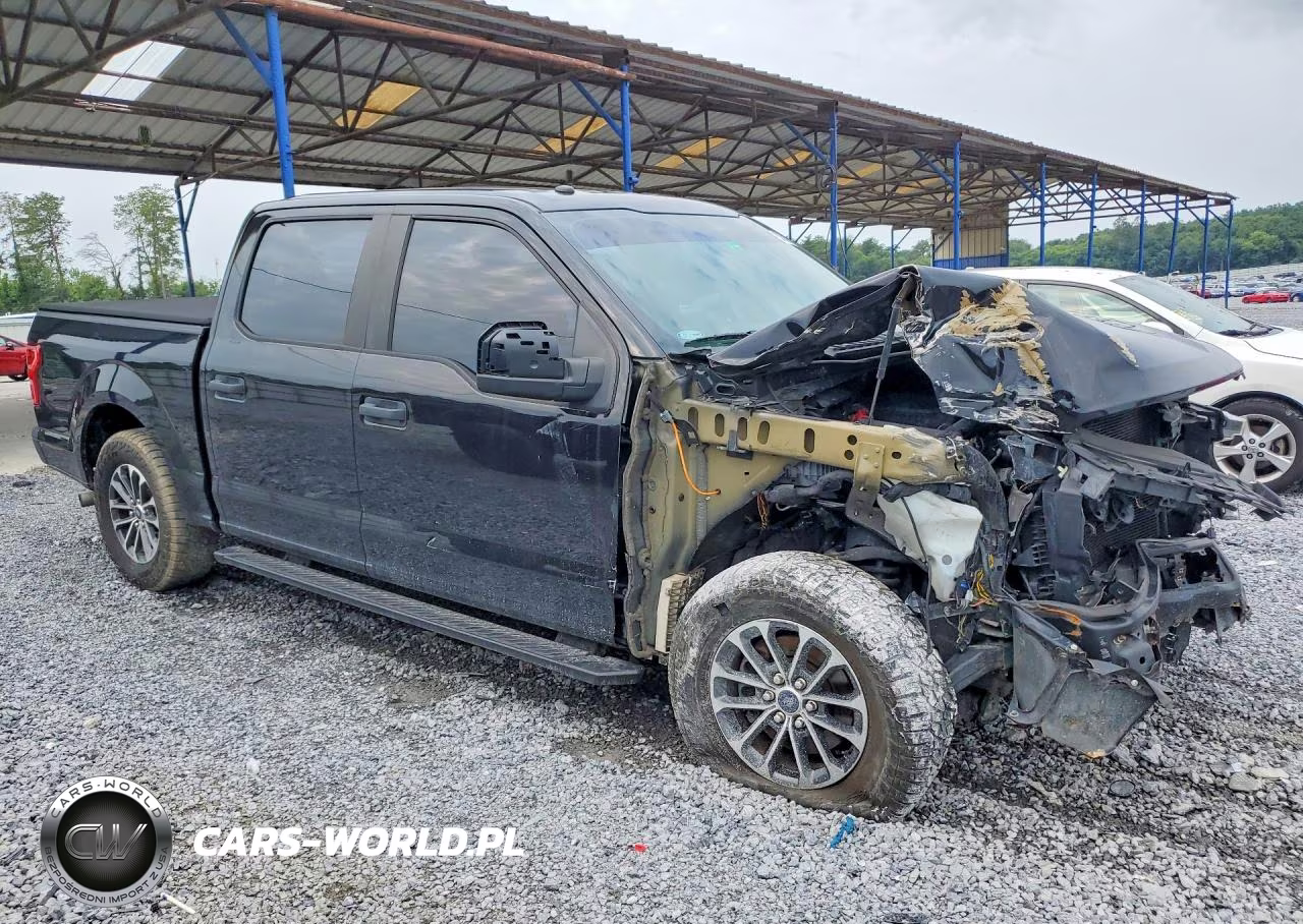 2019 Ford F150 Police Responder VIN:1FTEW1P46KKC78556 - 4