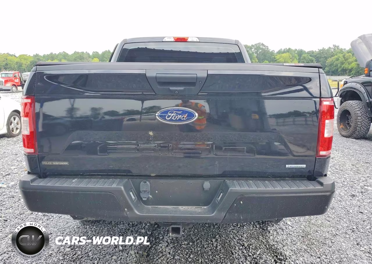 2019 Ford F150 Police Responder VIN:1FTEW1P46KKC78556 - 6