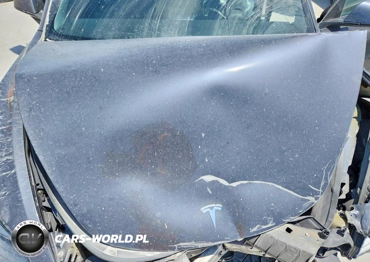 2021 Tesla Model 3 VIN:5YJ3E1EA0MF098203 - 11