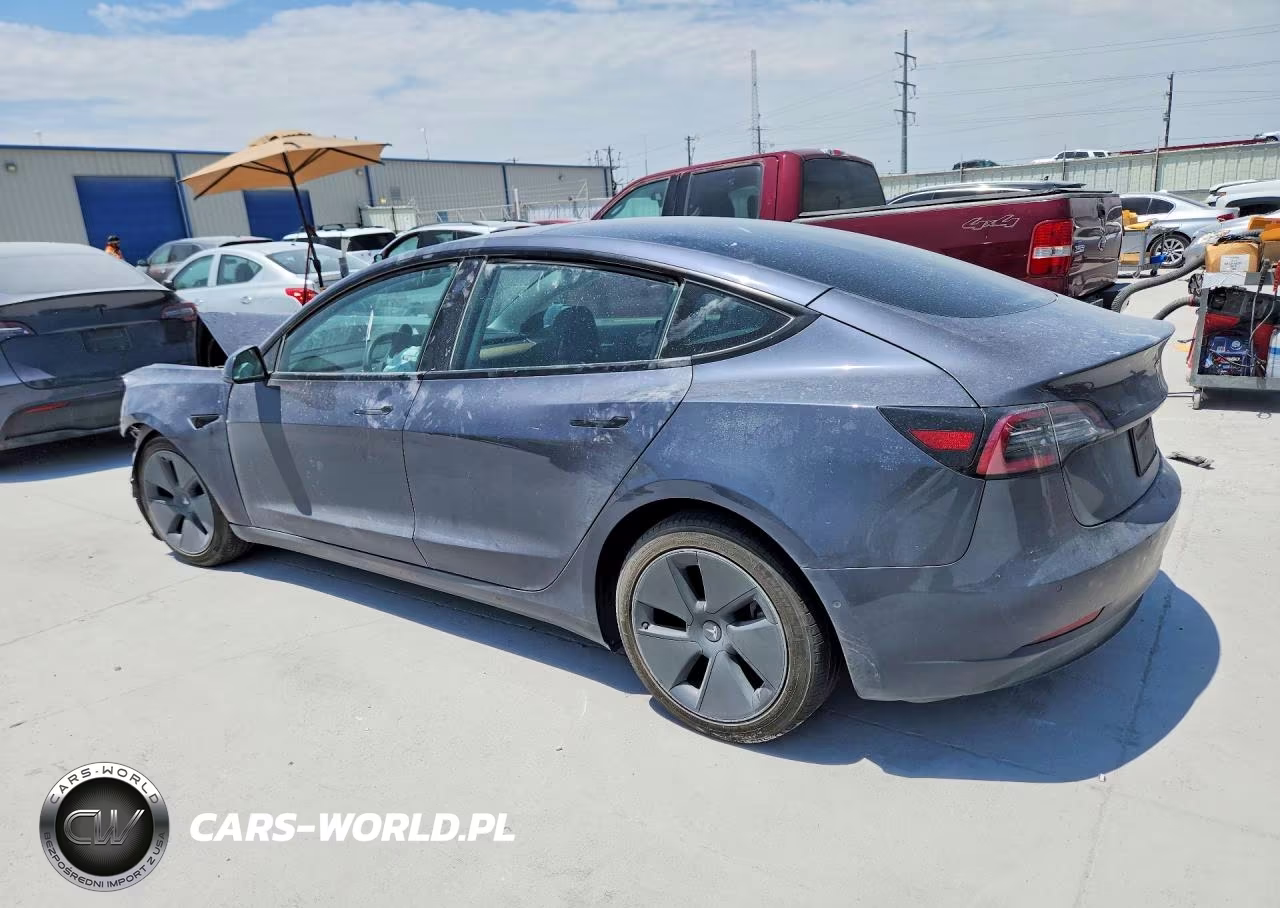 2021 Tesla Model 3 VIN:5YJ3E1EA0MF098203 - 2