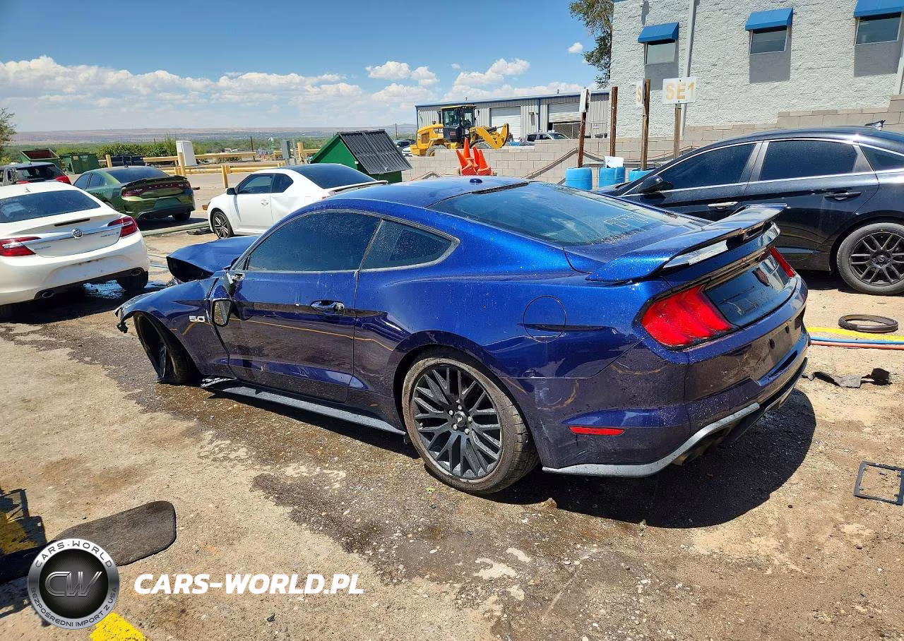 2019 Ford Mustang Gt VIN:1FA6P8CF5K5189762 - 2