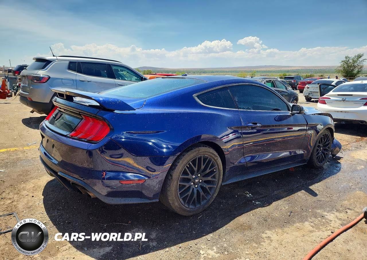 2019 Ford Mustang Gt VIN:1FA6P8CF5K5189762 - 3