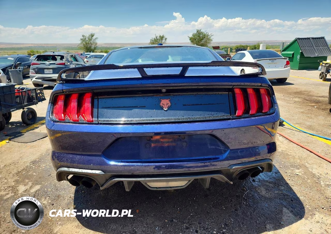 2019 Ford Mustang Gt VIN:1FA6P8CF5K5189762 - 6