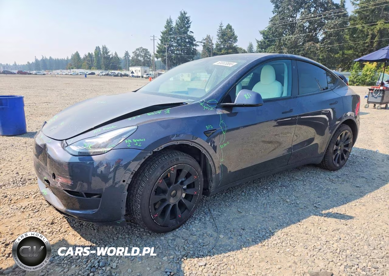2020 Tesla Model Y