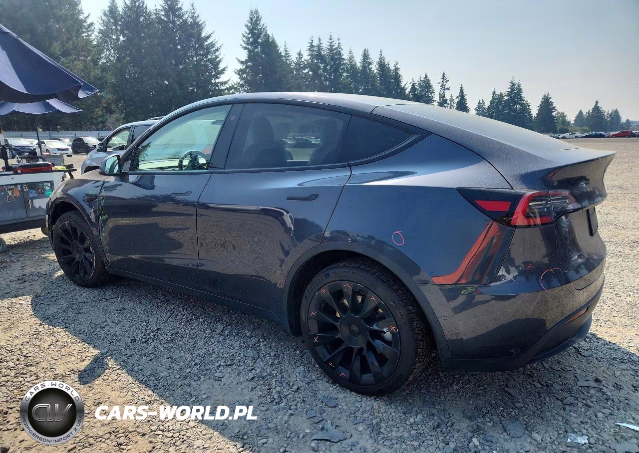 2020 Tesla Model Y VIN:5YJYGDEEXLF058701 - 2