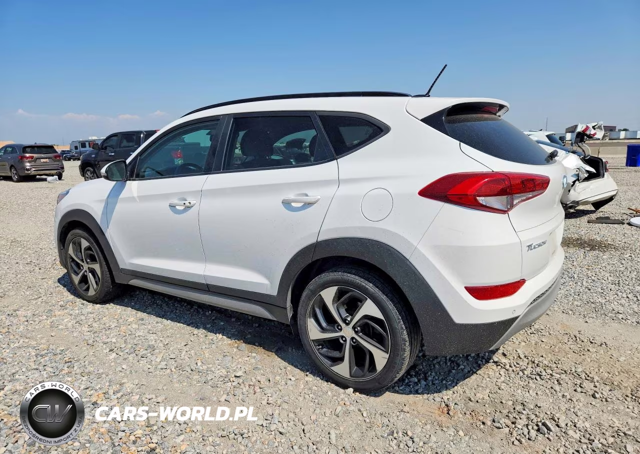 2017 Hyundai Tucson Value VIN:KM8J3CA2XHU570519 - 2
