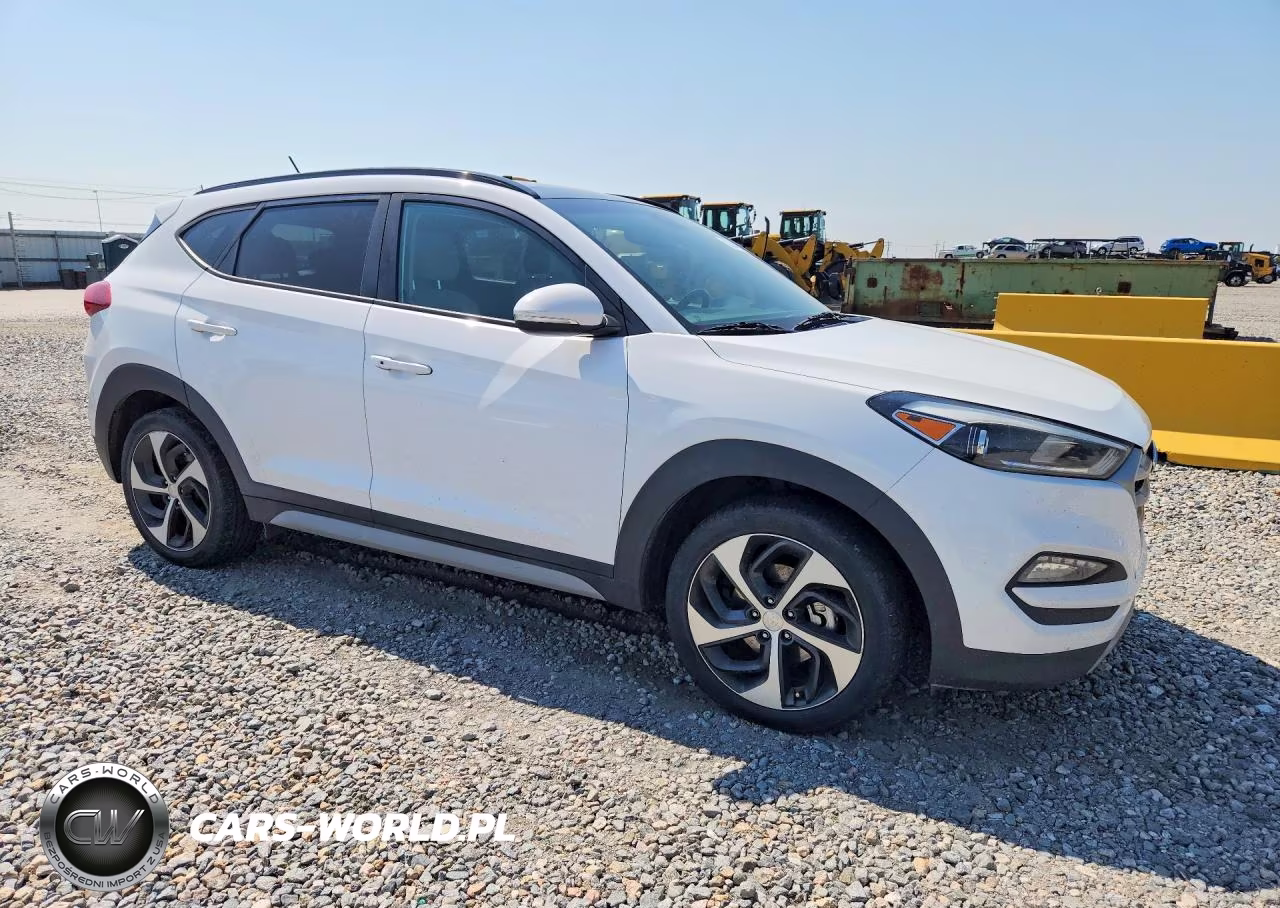 2017 Hyundai Tucson Value VIN:KM8J3CA2XHU570519 - 4