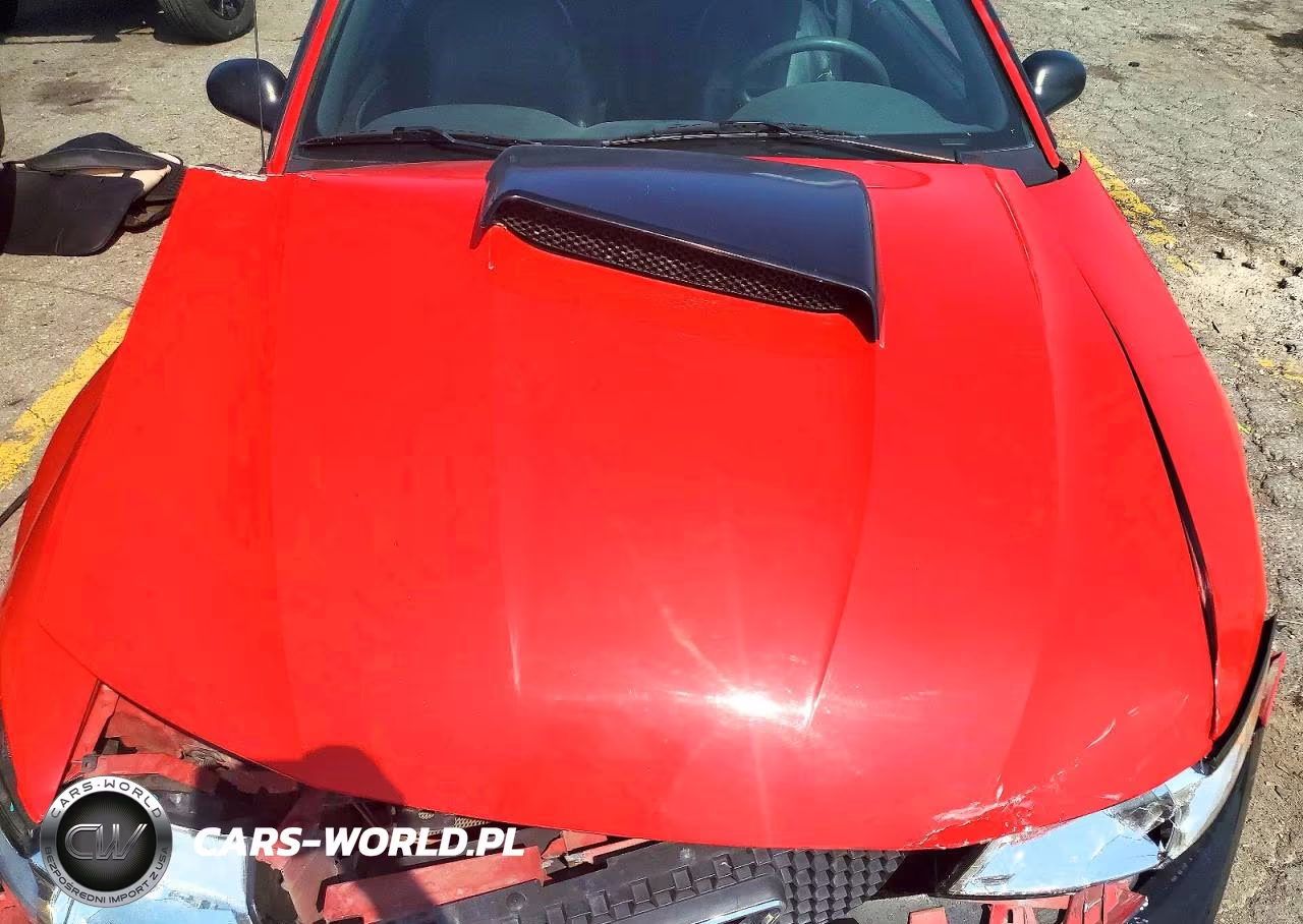 2002 Ford Mustang Gt VIN:1FAFP42X92F191429 - 11