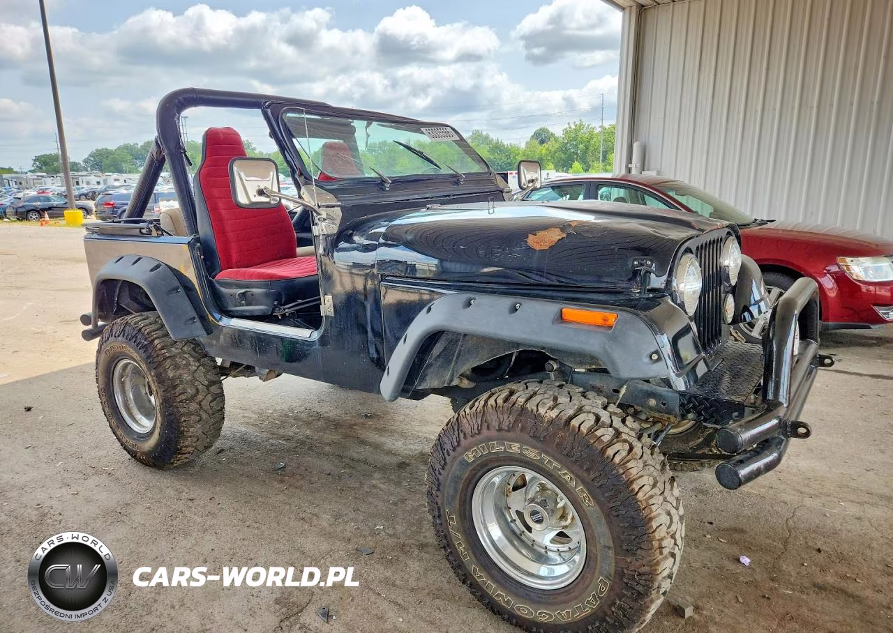 1979 Jeep Wrangler - Tj Se VIN:J9F93AC830346 - 4