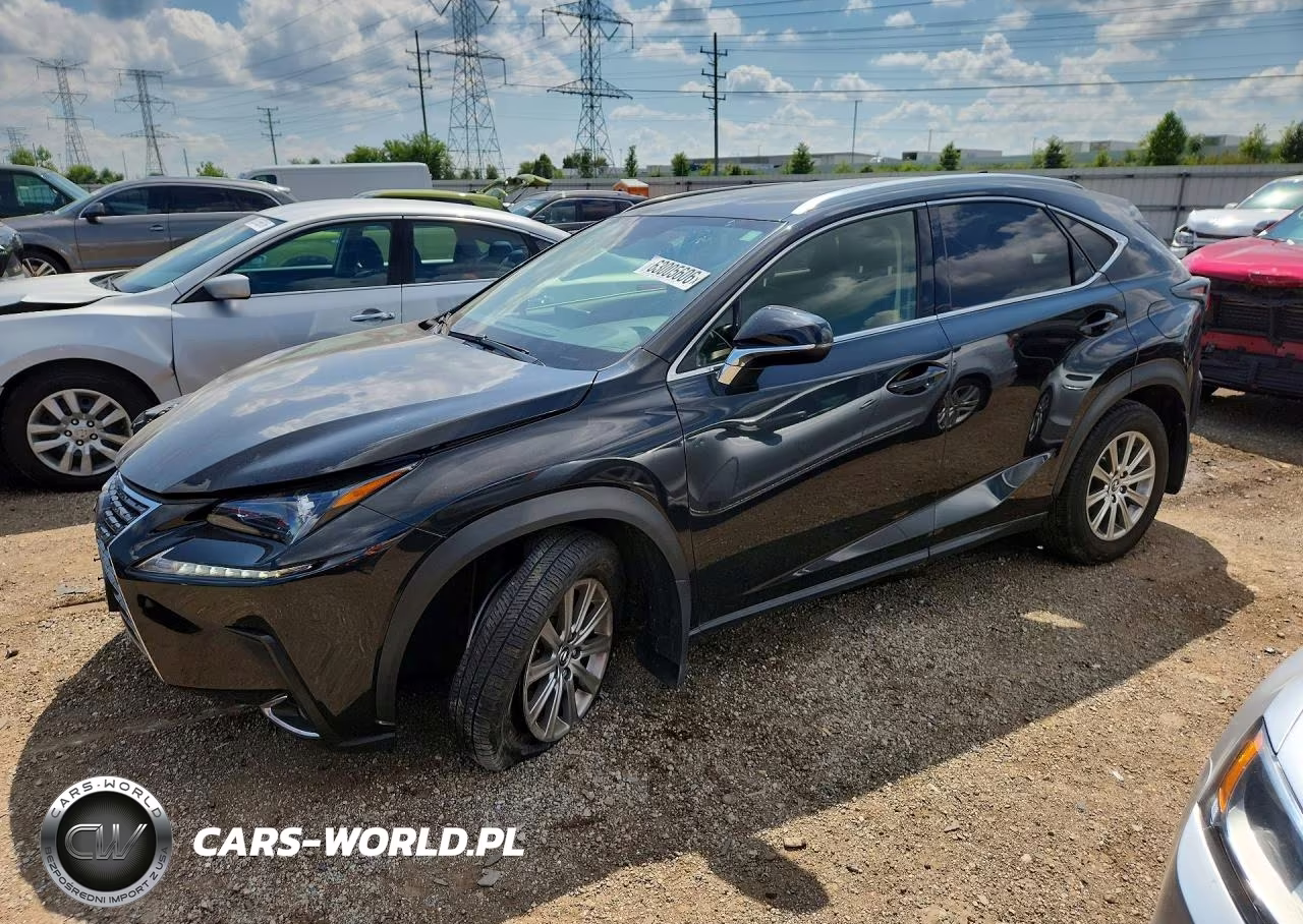 2021 Lexus Nx 300 Base VIN:JTJDARDZ9M2236780 - 1