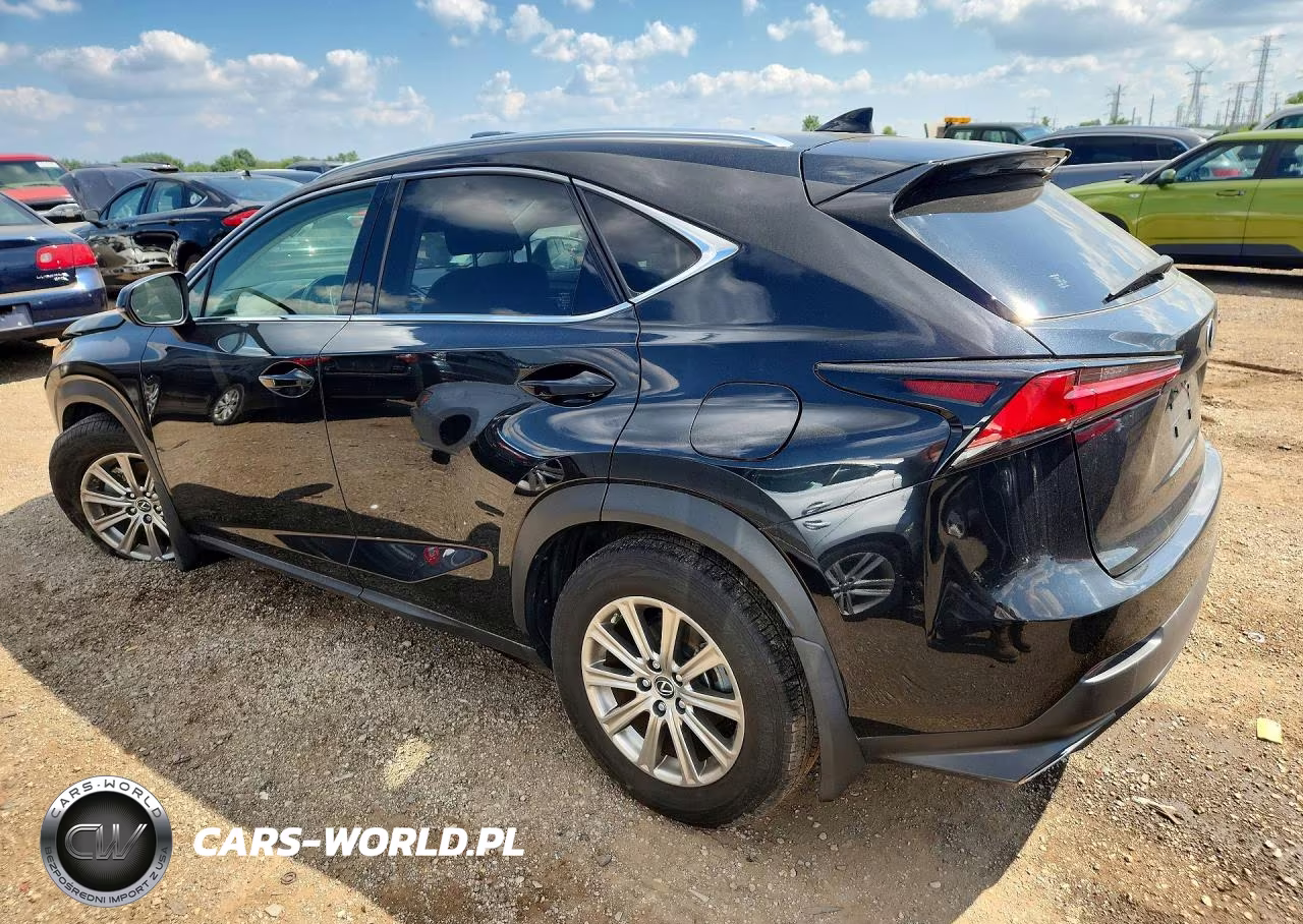 2021 Lexus Nx 300 Base VIN:JTJDARDZ9M2236780 - 2