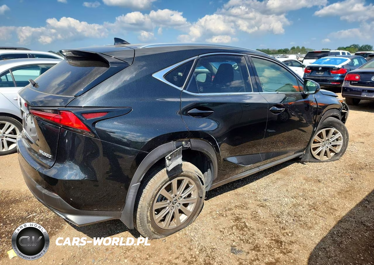 2021 Lexus Nx 300 Base VIN:JTJDARDZ9M2236780 - 3