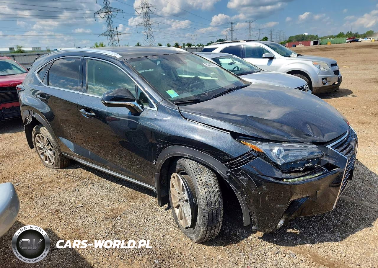 2021 Lexus Nx 300 Base VIN:JTJDARDZ9M2236780 - 4