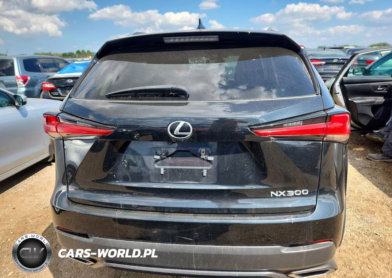 2021 Lexus Nx 300 Base VIN:JTJDARDZ9M2236780 - 6
