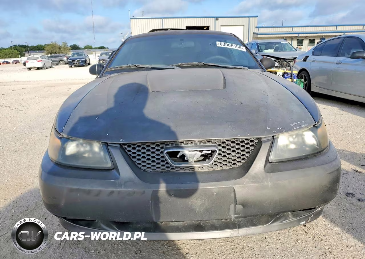 2003 Ford Mustang VIN:1FAFP40423F406465 - 5