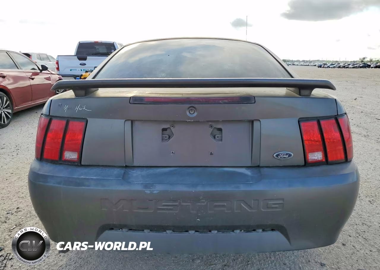 2003 Ford Mustang VIN:1FAFP40423F406465 - 6