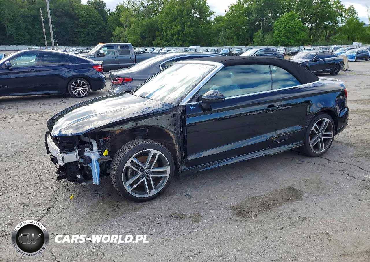 2017 Audi A3 Premium Plus VIN:WAUY8LFF8H1042721 - 1