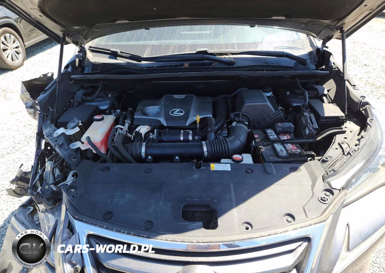 2015 Lexus Nx 200T VIN:JTJYARBZ3F2012895 - 12