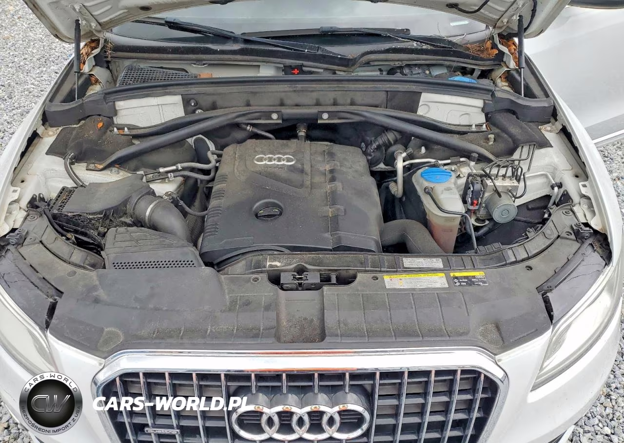 2014 Audi Q5 Premium Plus VIN:WA1LFAFP4EA131031 - 12