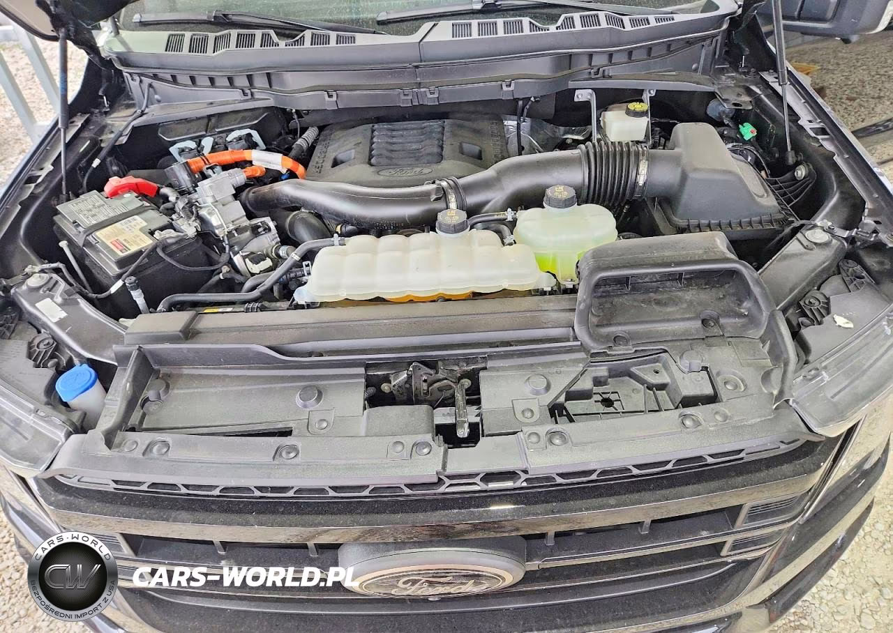2023 Ford F150 Supercrew VIN:1FTFW1ED5PFC69001 - 11