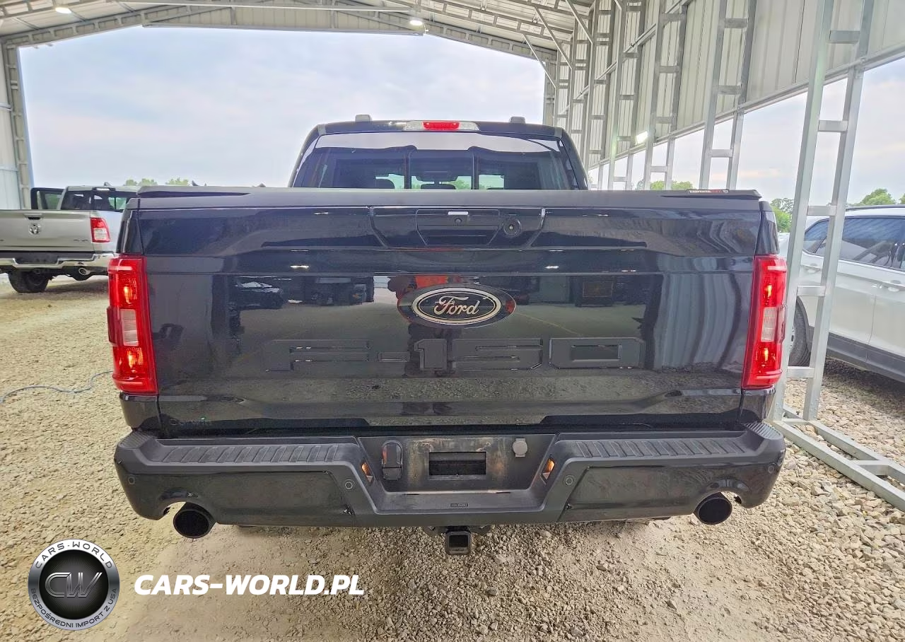 2023 Ford F150 Supercrew VIN:1FTFW1ED5PFC69001 - 6
