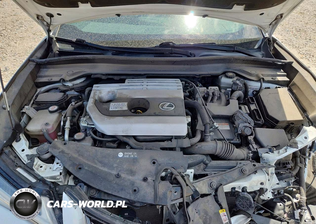 2019 Lexus Ux 250H VIN:JTHU9JBH6K2014992 - 11
