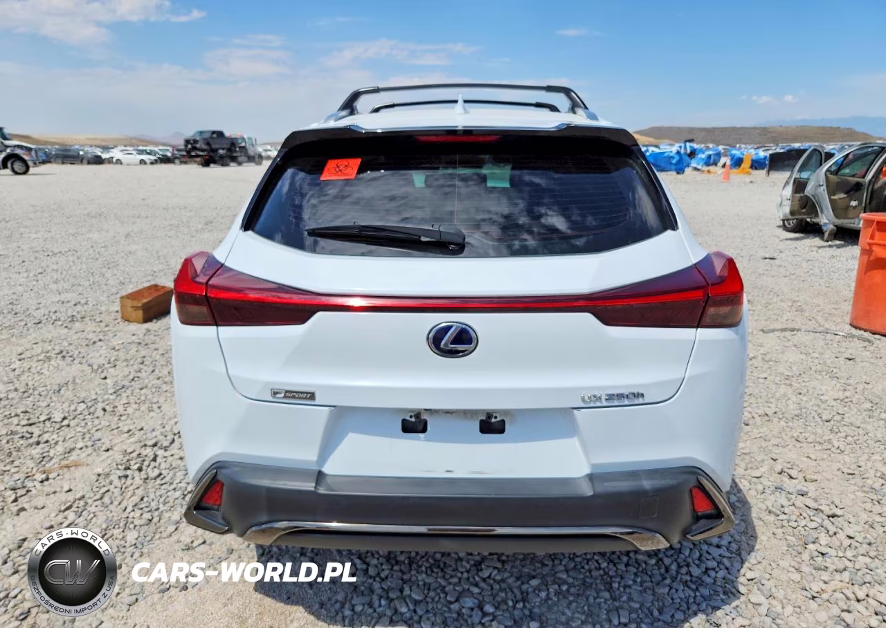 2019 Lexus Ux 250H VIN:JTHU9JBH6K2014992 - 6