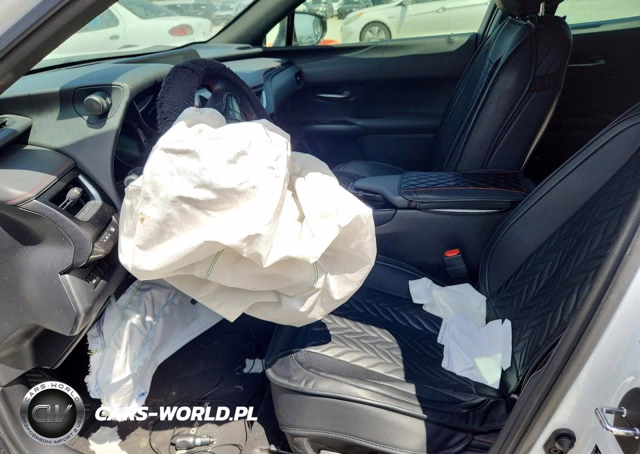 2019 Lexus Ux 250H VIN:JTHU9JBH6K2014992 - 7