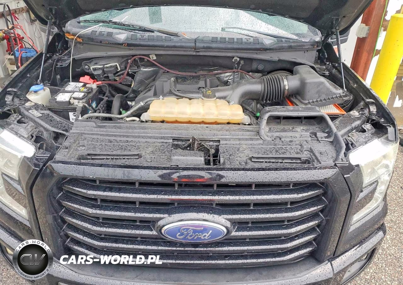 2017 Ford F150 Supercrew VIN:1FTEW1CP1HFA41894 - 11