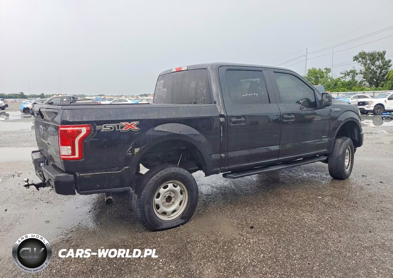 2017 Ford F150 Supercrew VIN:1FTEW1CP1HFA41894 - 3