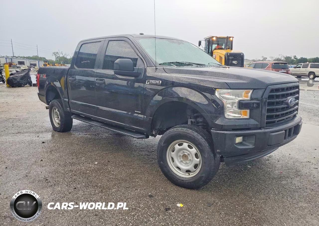 2017 Ford F150 Supercrew VIN:1FTEW1CP1HFA41894 - 4