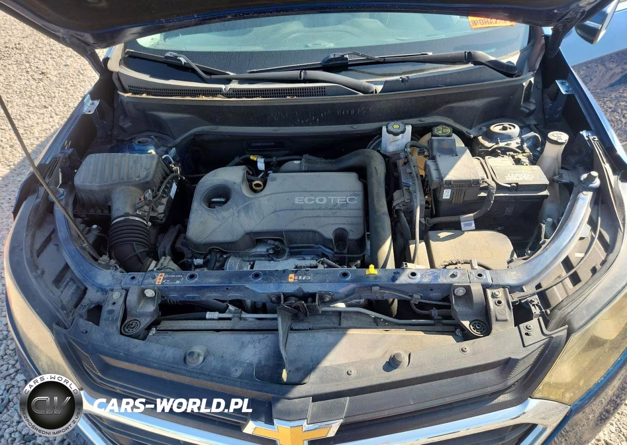 2019 Chevrolet Equinox Lt VIN:2GNAXJEV2K6251551 - 12