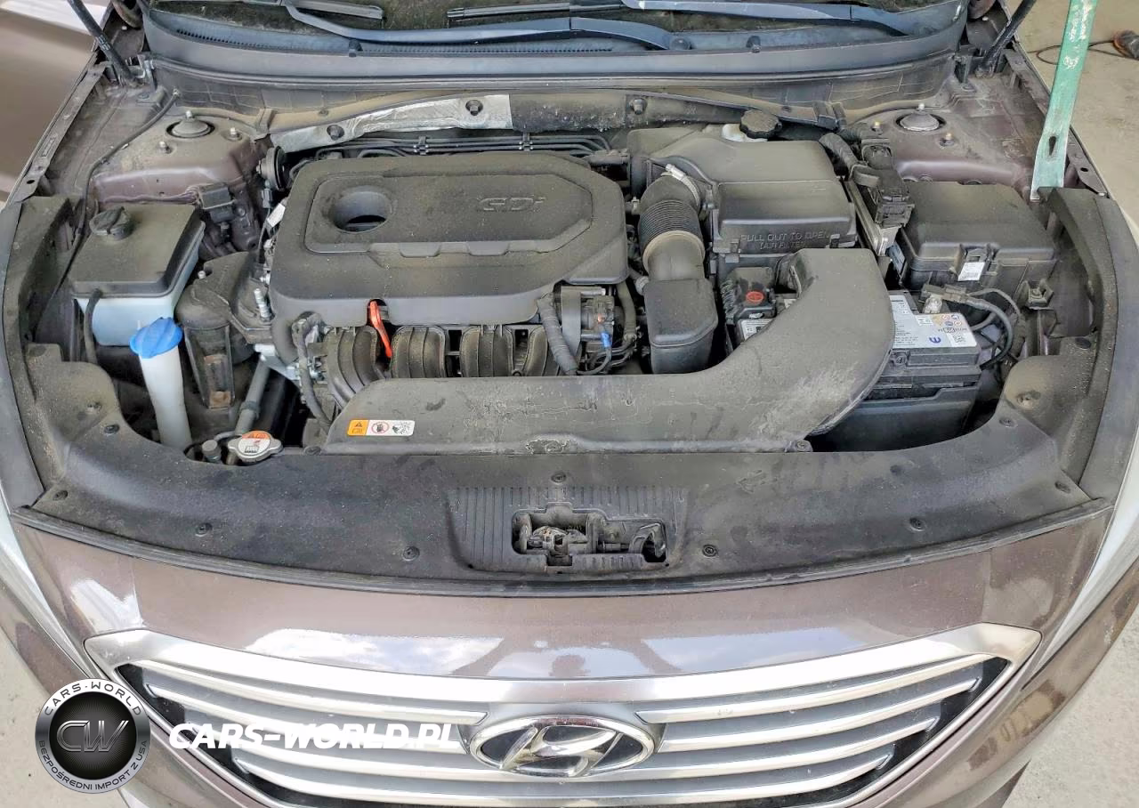 2016 Hyundai Sonata Se VIN:5NPE24AF1GH369781 - 11