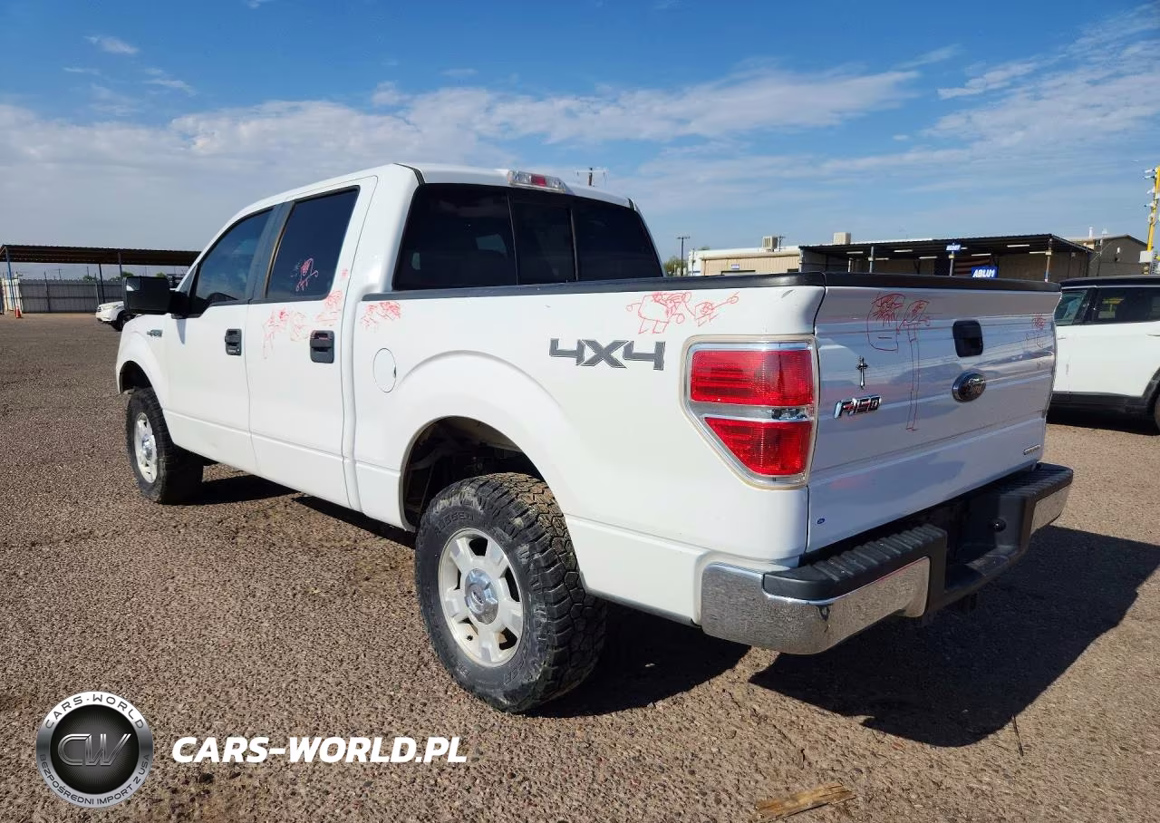 2013 Ford F150 Supercrew VIN:1FTFW1EF3DFE07101 - 2