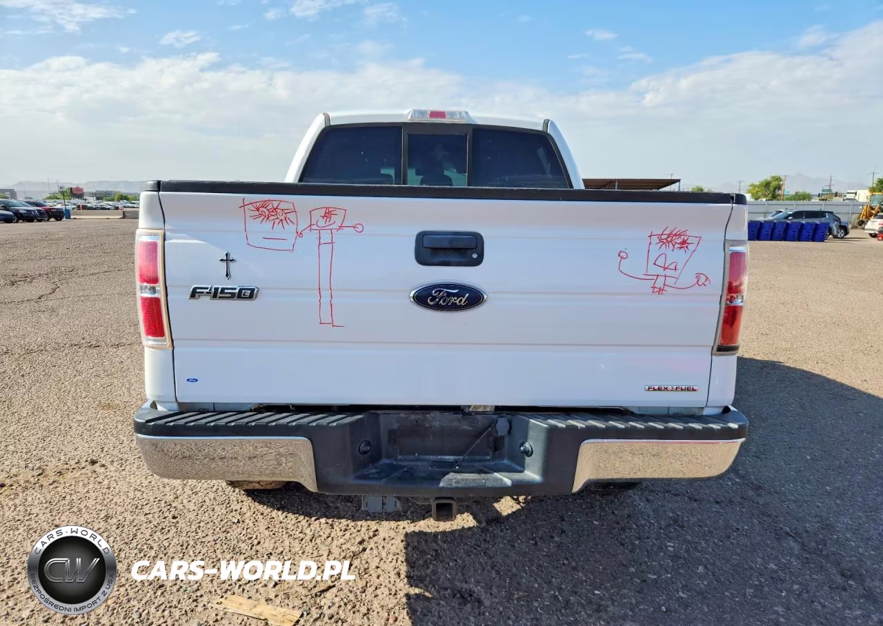 2013 Ford F150 Supercrew VIN:1FTFW1EF3DFE07101 - 6