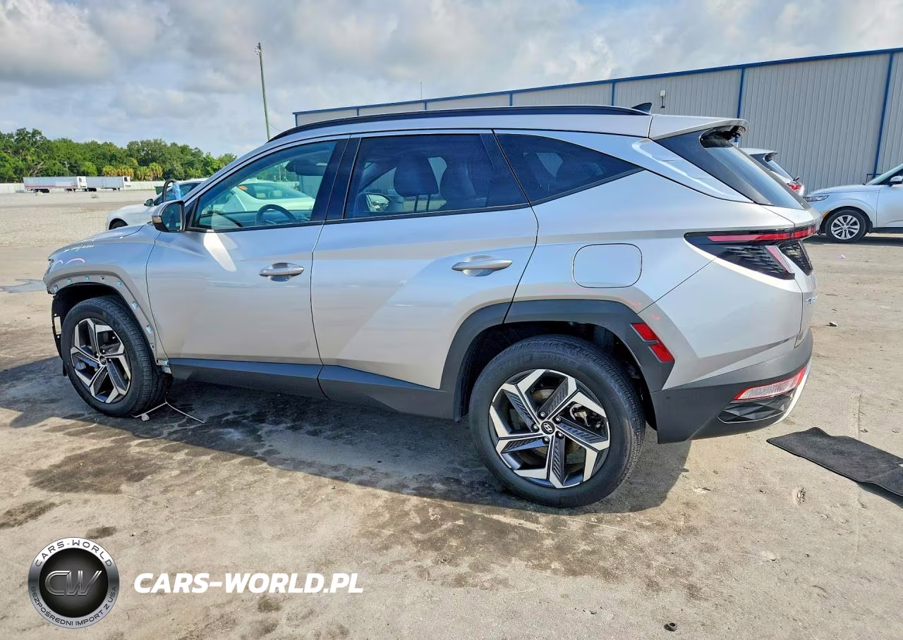 2024 Hyundai Tucson Limited VIN:KM8JECD10RU154736 - 2