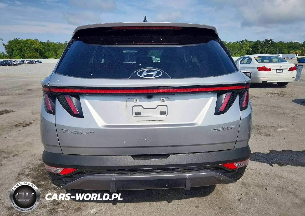 2024 Hyundai Tucson Limited VIN:KM8JECD10RU154736 - 6