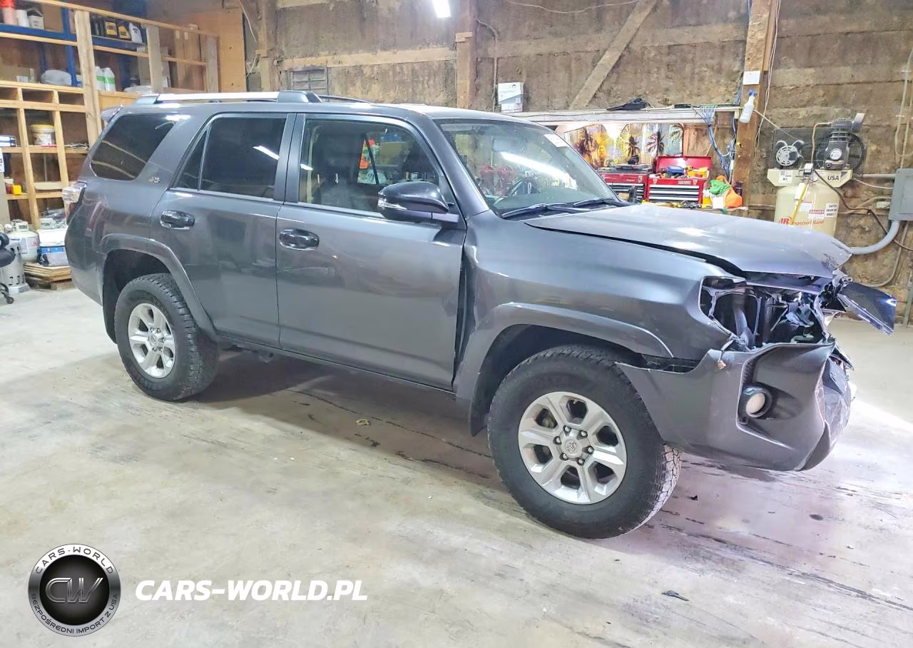2019 Toyota 4Runner Sr5 Premium VIN:JTEBU5JR6K5674775 - 4
