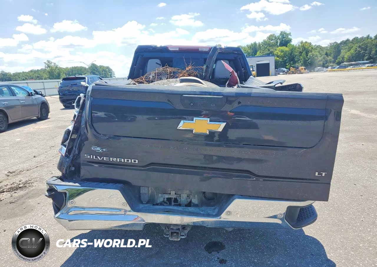 2023 Chevrolet Silverado K1500 Lt VIN:1GCUDDED1PZ299903 - 6