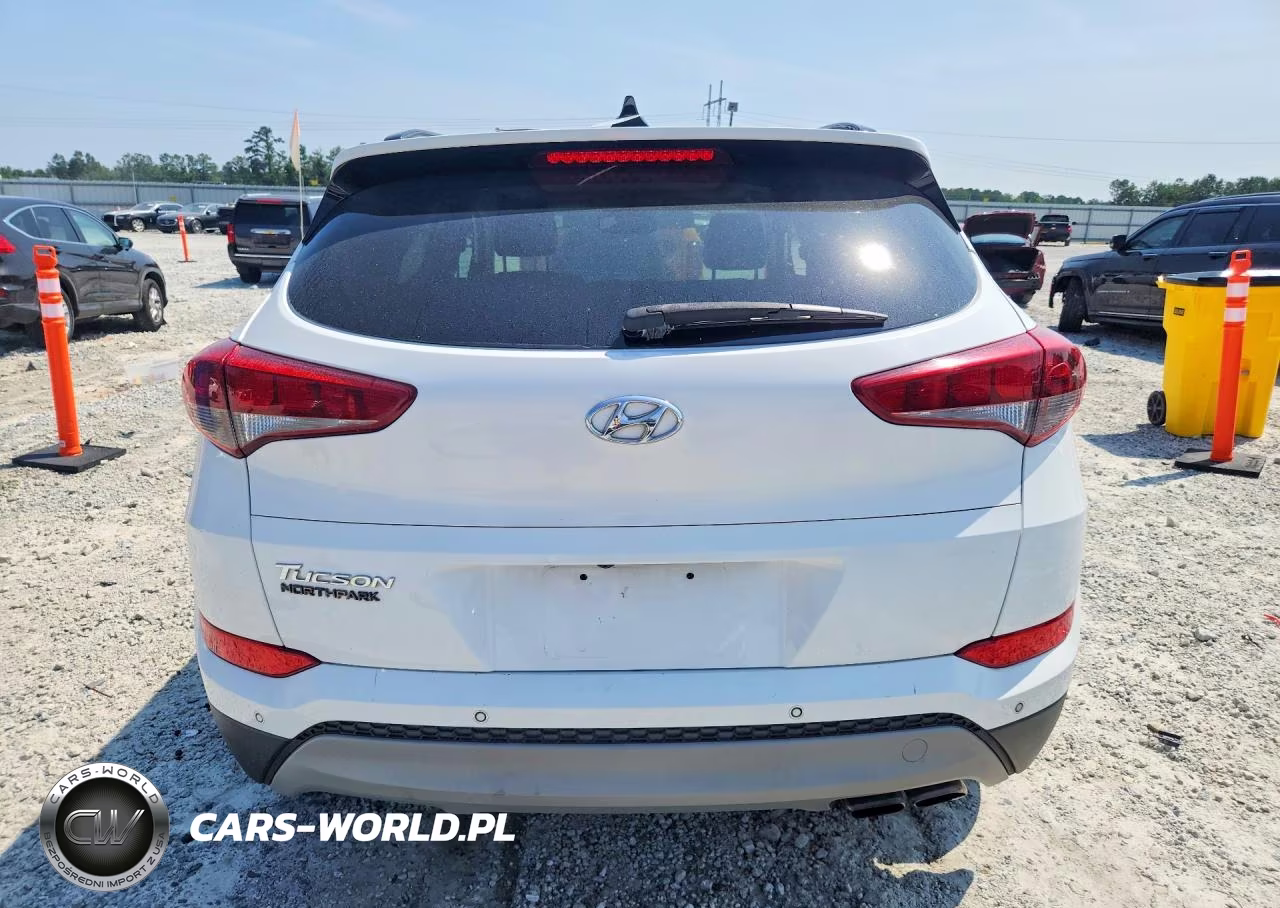 2018 Hyundai Tucson Value VIN:KM8J33A28JU667174 - 6