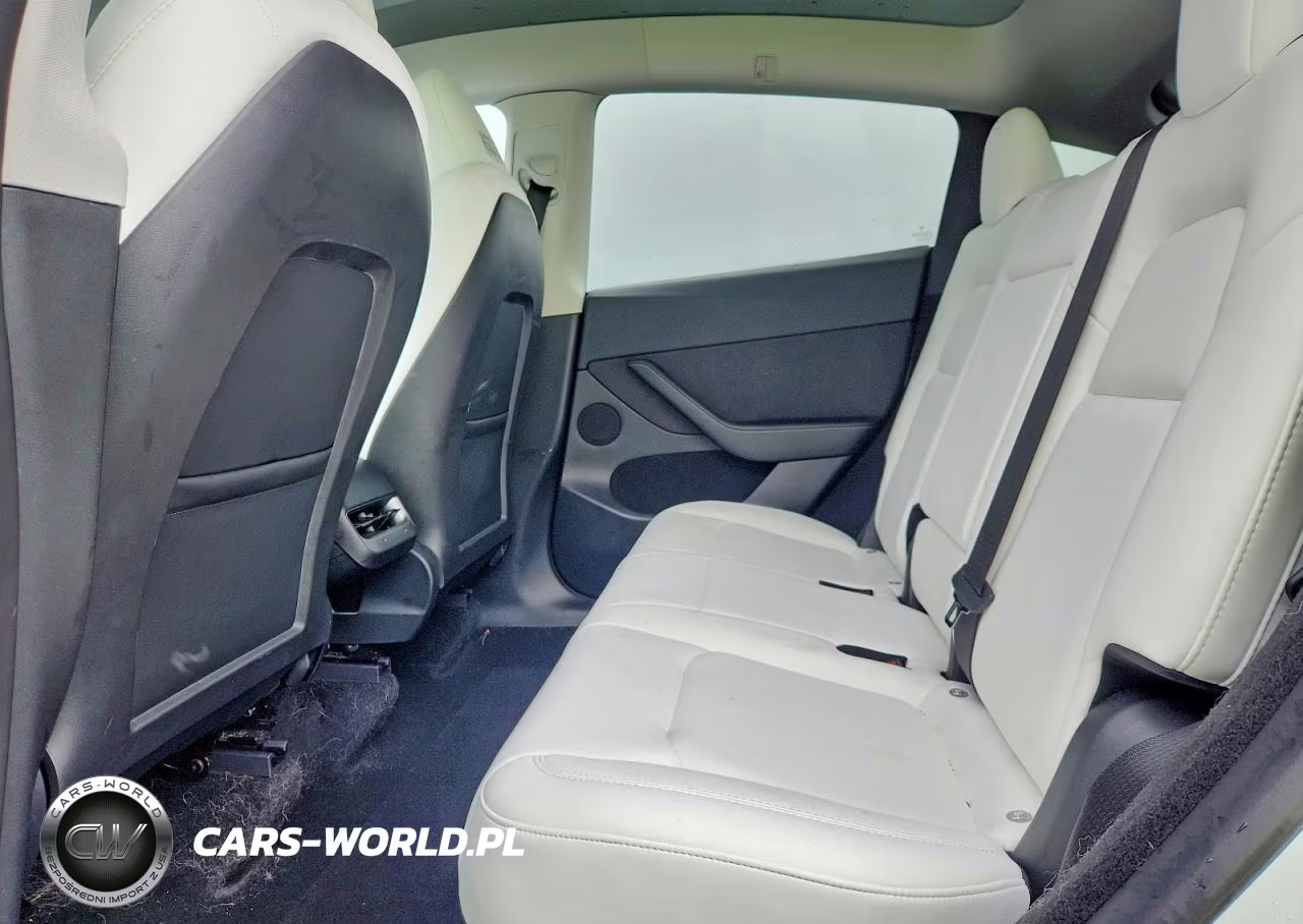 2023 Tesla Model Y VIN:7SAYGDEE5PF748008 - 10
