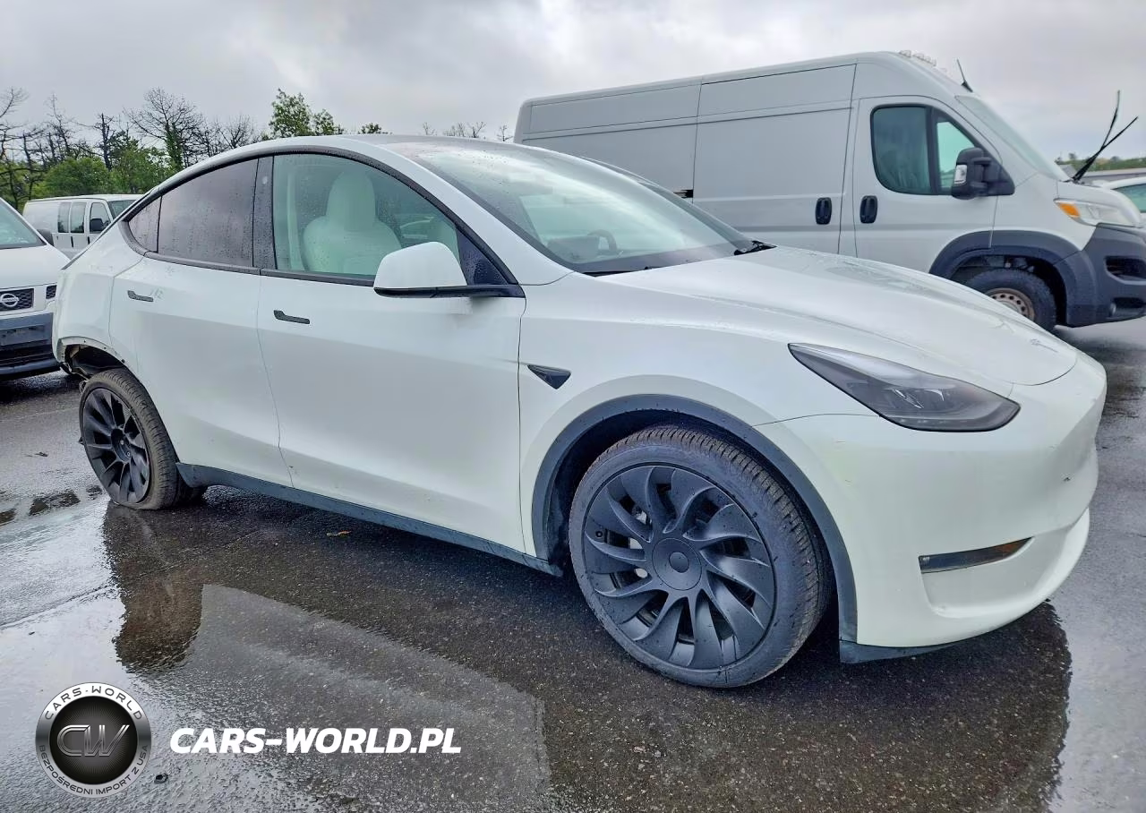 2023 Tesla Model Y VIN:7SAYGDEE5PF748008 - 4