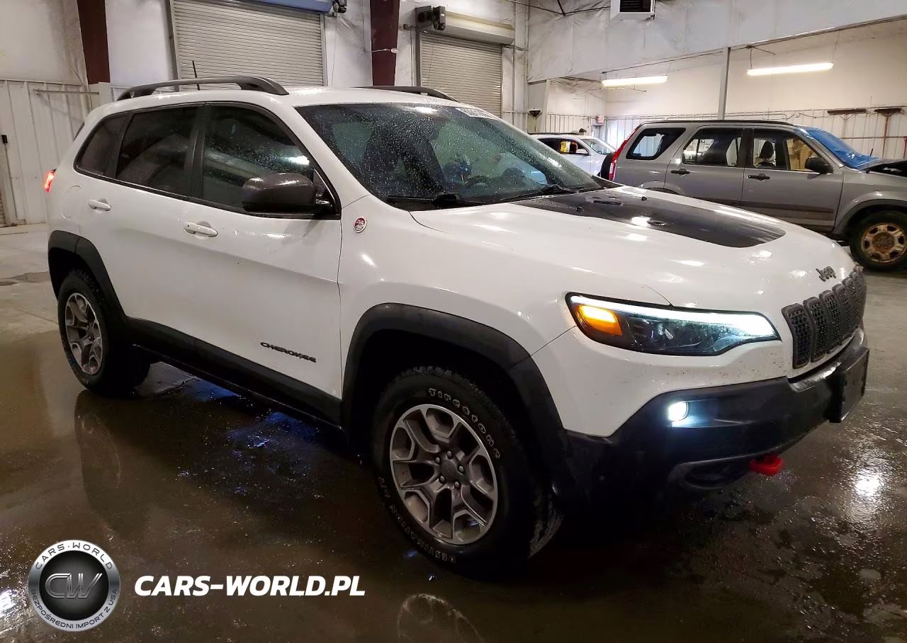2020 Jeep Cherokee Trailhawk VIN:1C4PJMBN6LD623194 - 4