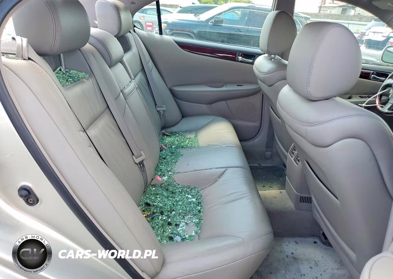2004 Lexus Es 330 VIN:JTHBA30G945013454 - 10